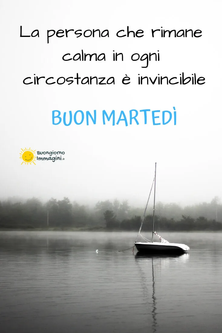 martedi frasi