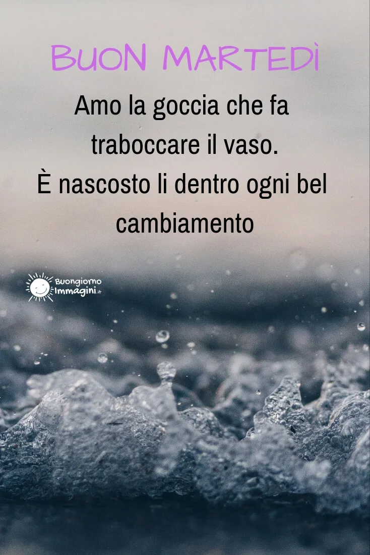 buon martedi frasi nuove