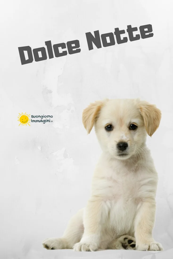 dolce notte immagini