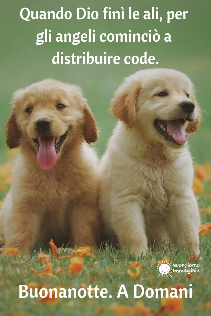 buonanotte animali