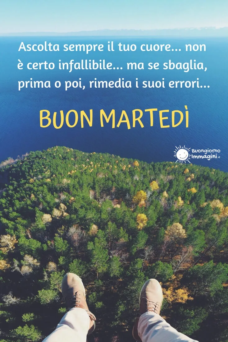buon martedi zoobe