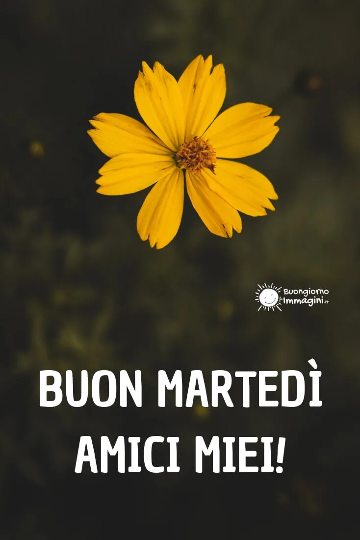 buon martedi con fiori