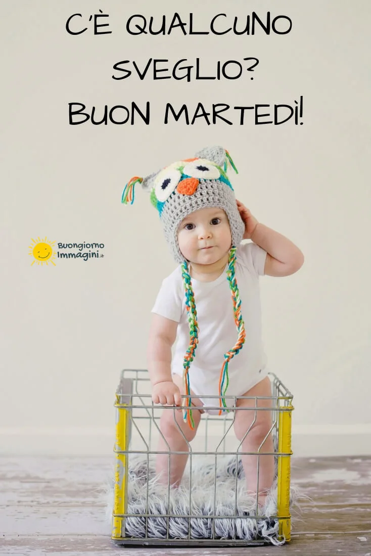 immagini di buon martedi