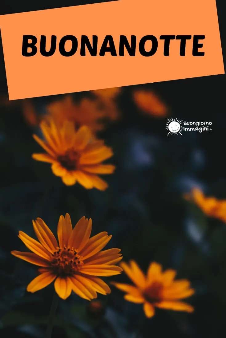 buonanotte fiore