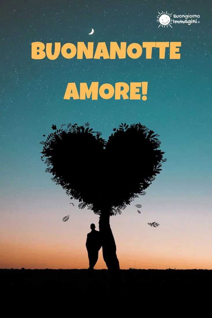 buonanotte amore