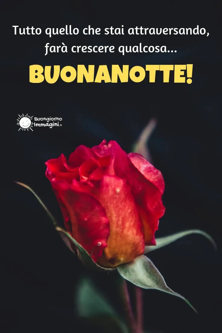frasi della buonanotte