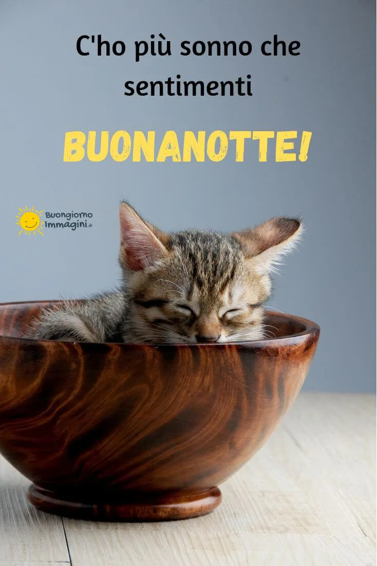 buonanotte divertenti