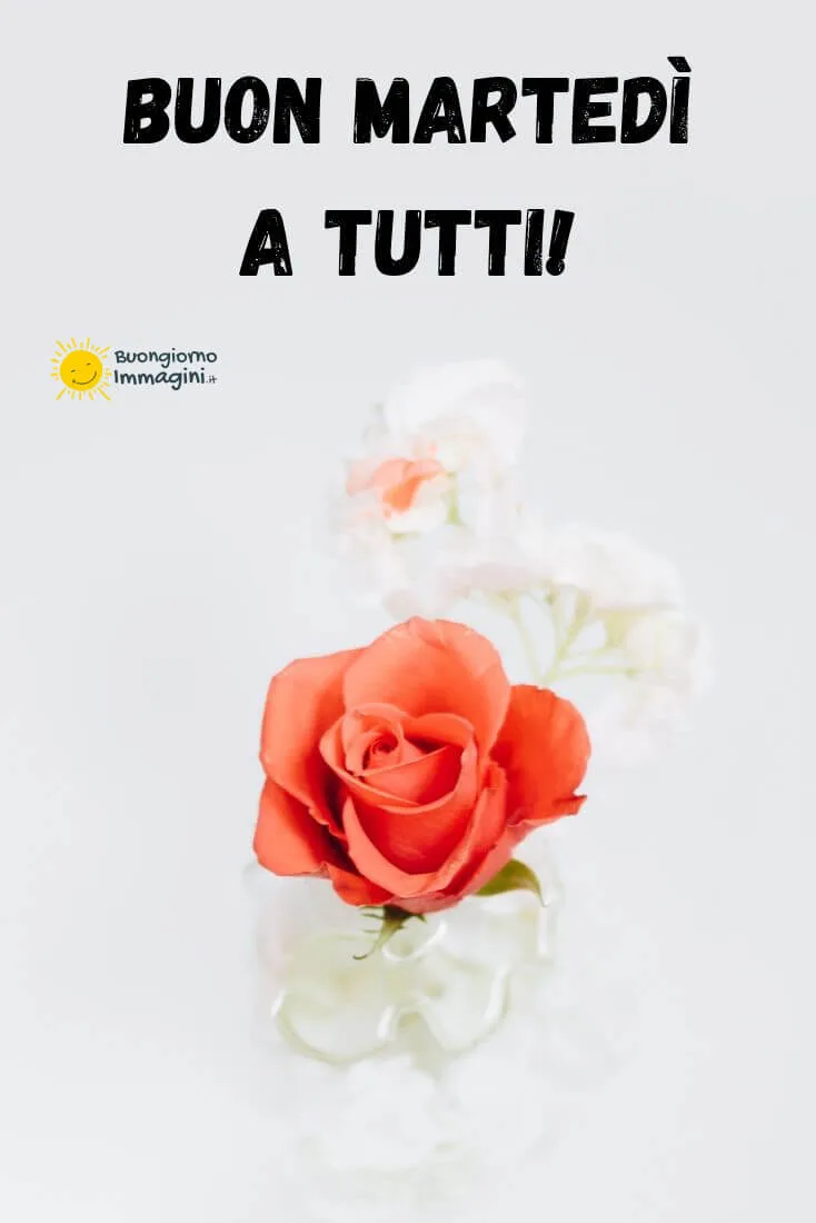 buon martedi le fate del sole