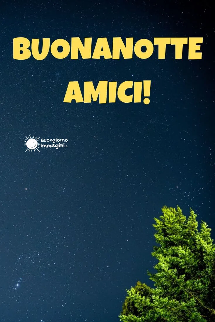 immagini buonanotte amici