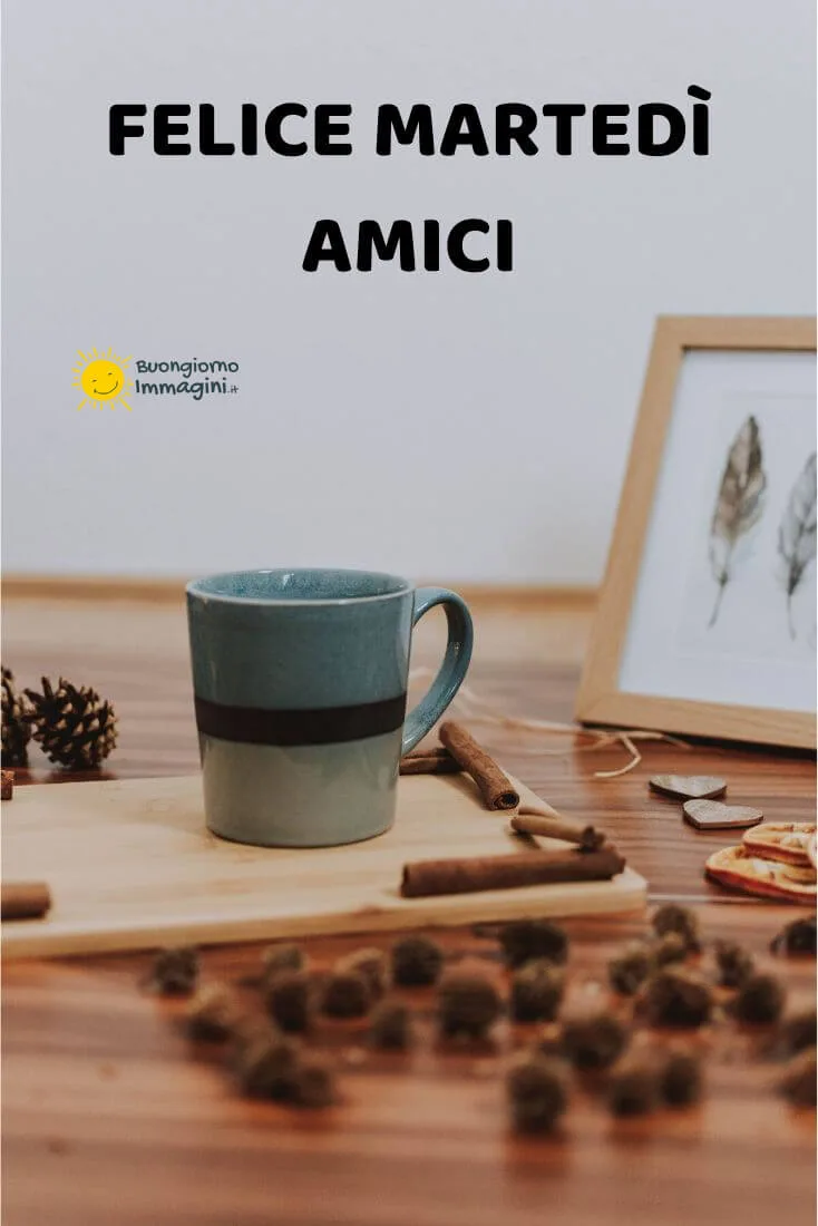 felice martedi amici