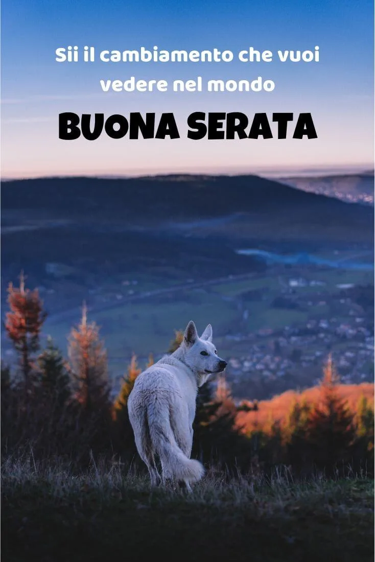 immagini buona sera