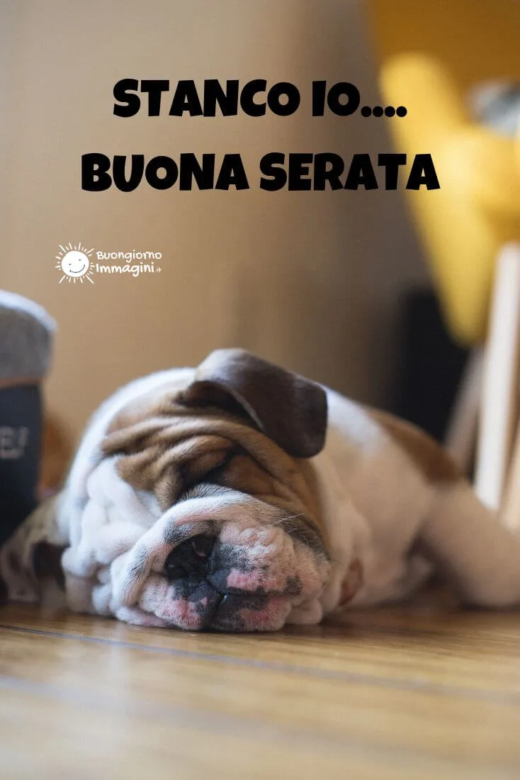 immagini divertenti di buona serata