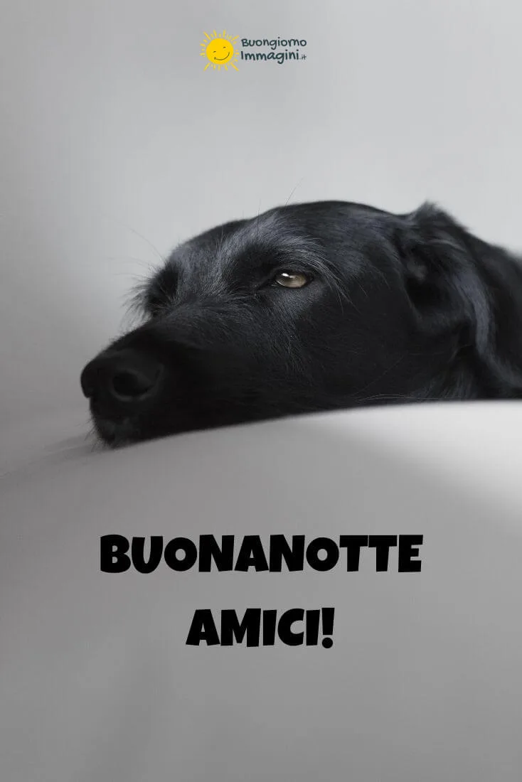 buonanotte le fate del sole