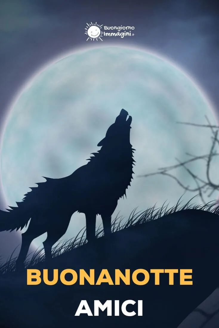 buonanotte immagini belle