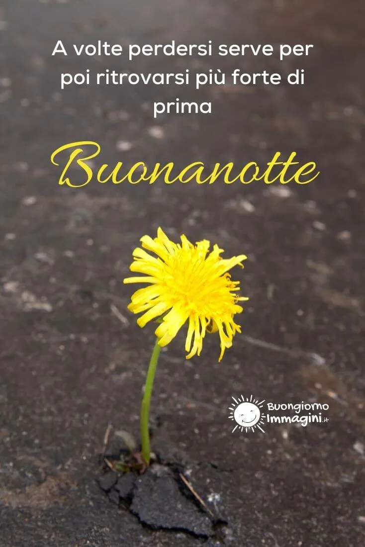 frasi per la buonanotte