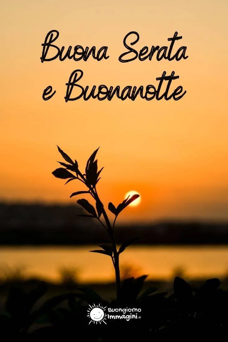 buona serata e buonanotte