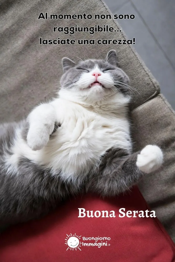 frasi buona serata divertenti