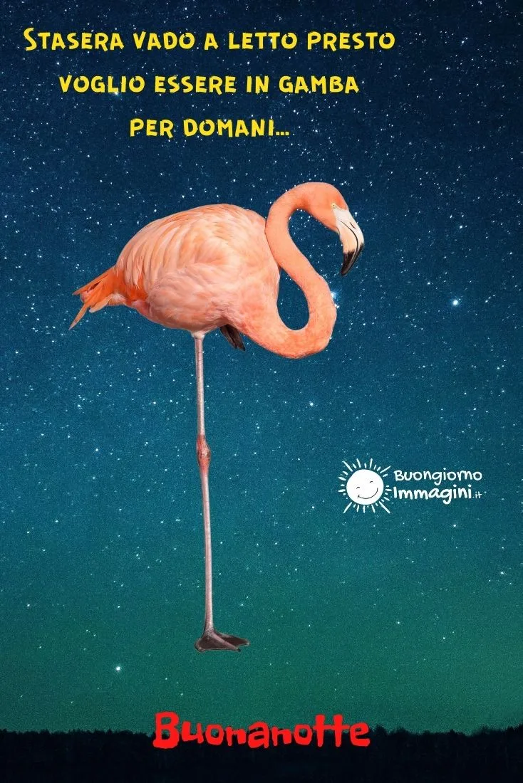 buonanotte divertente per amici