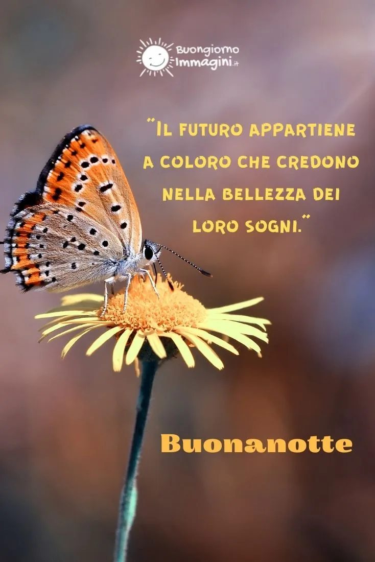 frasi sulla buonanotte