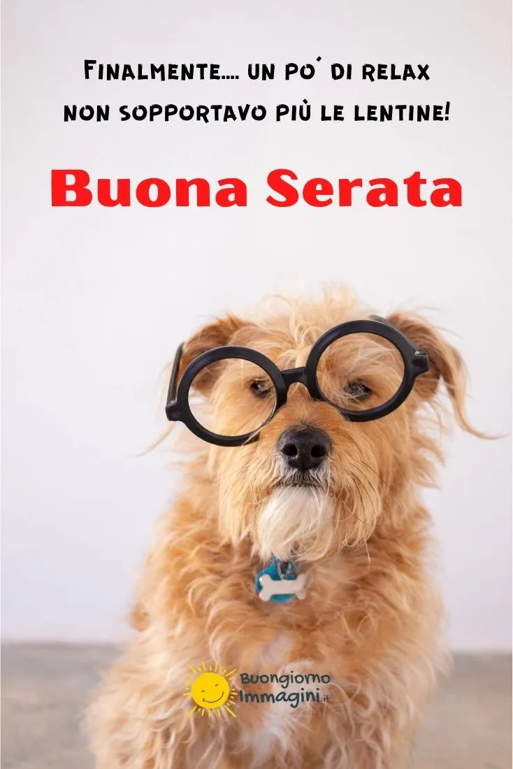 buonasera immagini divertenti