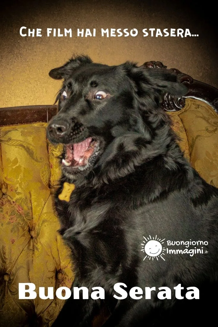 link buonasera